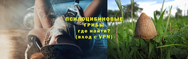 эйфоретик Балахна